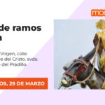 Bendición de ramos y procesión