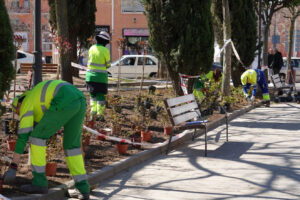 Móstoles tendrá una nueva rosaleda: comienza la renovación del parque Cuartel Huerta 