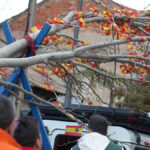 De El Soto a Cuartel Huerta: el traslado del árbol de los ‘quintos’ que revive el pasado de Móstoles