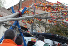 De El Soto a Cuartel Huerta: el traslado del árbol de los 'quintos' que revive el pasado de Móstoles