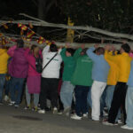 De El Soto a Cuartel Huerta: el traslado del árbol de los ‘quintos’ que revive el pasado de Móstoles