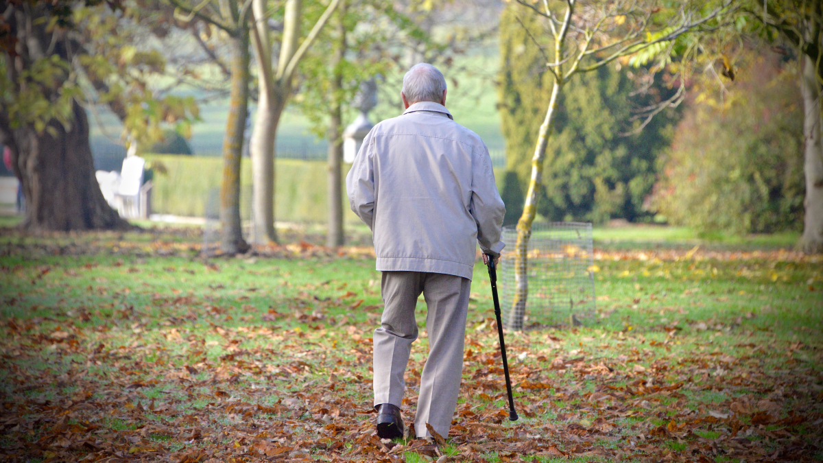 Luz verde a la nueva residencia pública de mayores en Móstoles: el Pleno aprueba su construcción
