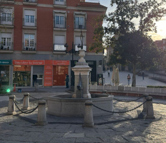 Detenido el presunto autor de atacar y vandalizar la Fuente de los Peces de Móstoles