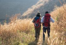 De la Bola del Mundo a los tesoros de Cuenca: Móstoles organiza rutas guiadas baratas para jóvenes y familias De la Bola del Mundo a los tesoros de Cuenca: Móstoles organiza rutas guiadas baratas para jóvenes y familias
