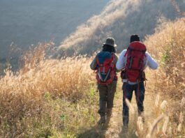 De la Bola del Mundo a los tesoros de Cuenca: Móstoles organiza rutas guiadas baratas para jóvenes y familias De la Bola del Mundo a los tesoros de Cuenca: Móstoles organiza rutas guiadas baratas para jóvenes y familias