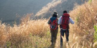 De la Bola del Mundo a los tesoros de Cuenca: Móstoles organiza rutas guiadas baratas para jóvenes y familias De la Bola del Mundo a los tesoros de Cuenca: Móstoles organiza rutas guiadas baratas para jóvenes y familias