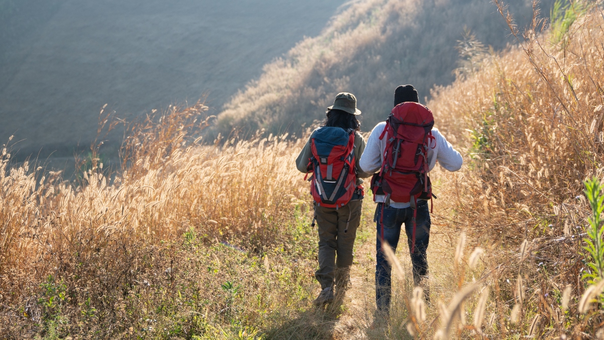 De la Bola del Mundo a los tesoros de Cuenca: Móstoles organiza rutas guiadas baratas para jóvenes y familias De la Bola del Mundo a los tesoros de Cuenca: Móstoles organiza rutas guiadas baratas para jóvenes y familias