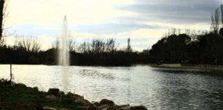 Qué hacer este fin de semana en Móstoles: Domingo de Ramos, el Brujo, Rody Aragón y mucho más