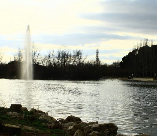 Qué hacer este fin de semana en Móstoles: Domingo de Ramos, el Brujo, Rody Aragón y mucho más Qué hacer este fin de semana en Móstoles: Domingo de Ramos, el Brujo, Rody Aragón y mucho más