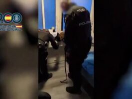 Desarticulada una red criminal de explotación sexual en Móstoles tras liberar a 18 mujeres Desarticulada una red criminal de explotación sexual en Móstoles tras liberar a 18 mujeres