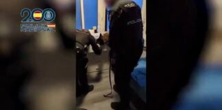 Desarticulada una red criminal de explotación sexual en Móstoles tras liberar a 18 mujeres Desarticulada una red criminal de explotación sexual en Móstoles tras liberar a 18 mujeres