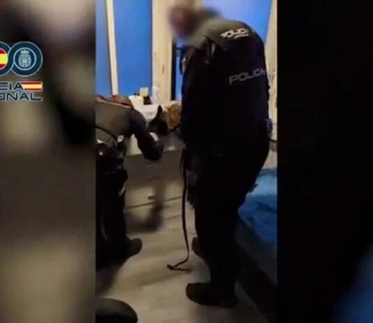 Desarticulada una red criminal de explotación sexual en Móstoles tras liberar a 18 mujeres Desarticulada una red criminal de explotación sexual en Móstoles tras liberar a 18 mujeres