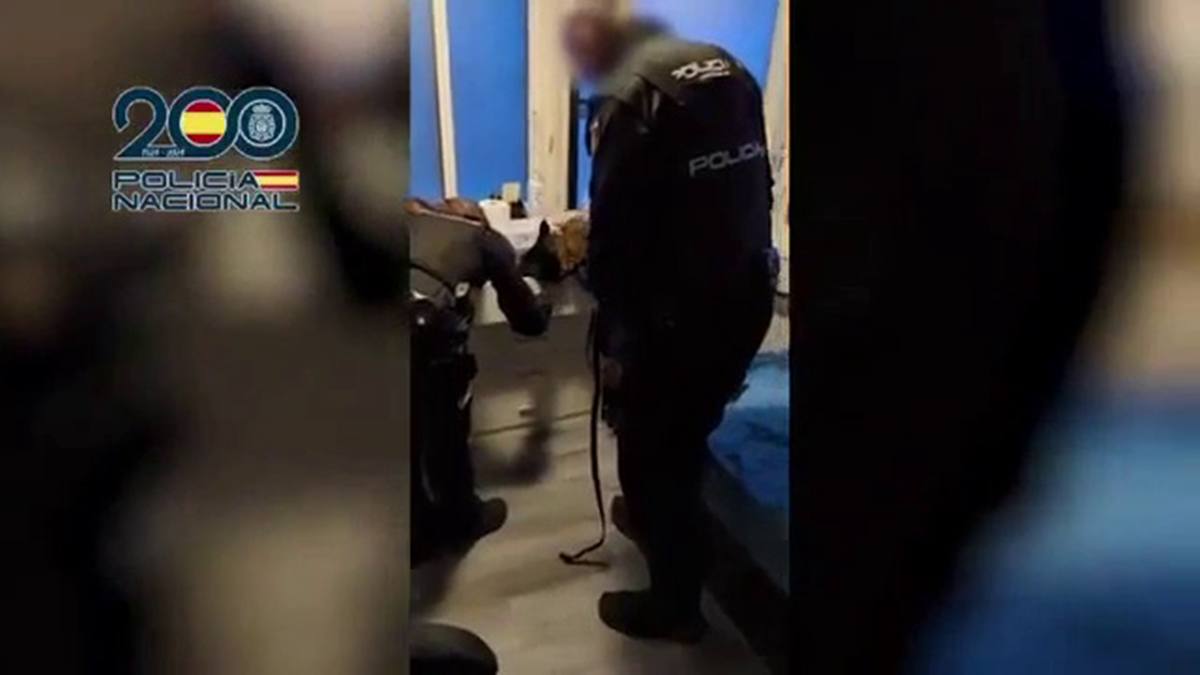 Desarticulada una red criminal de explotación sexual en Móstoles tras liberar a 18 mujeres