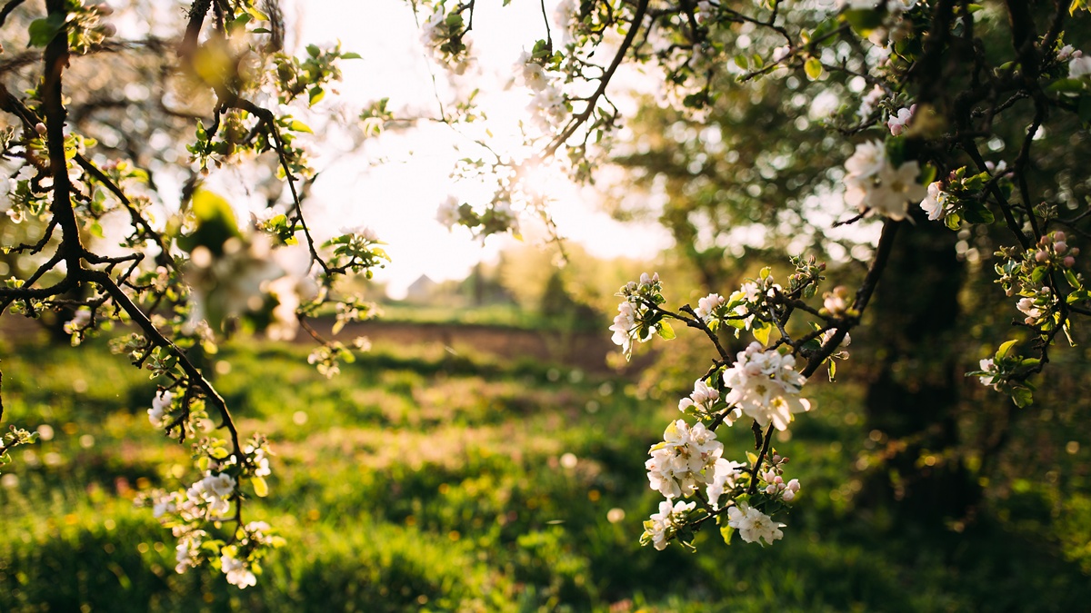 ¿Quién anda ahí? Móstoles. La prima Vera