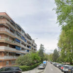 Vecinos de Móstoles denuncian una invasión de palomas: «No se pueden ni tener abiertas las ventanas»