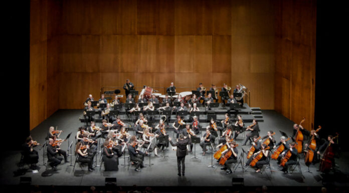 Qué hacer este fin de semana en Móstoles: concierto sinfónico de Antonín Dvořák, Pinocho, y mucho más