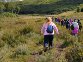 Por solo 25 euros: Móstoles ofrece un nuevo programa de viajes culturales con varias excursiones
