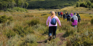 Por solo 25 euros: Móstoles ofrece un nuevo programa de viajes culturales con varias excursiones Por solo 25 euros: Móstoles ofrece un nuevo programa de viajes culturales con varias excursiones