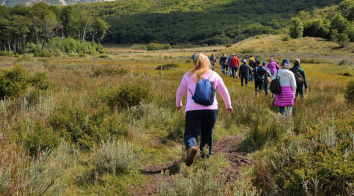Por solo 25 euros: Móstoles ofrece un nuevo programa de viajes culturales con varias excursiones Por solo 25 euros: Móstoles ofrece un nuevo programa de viajes culturales con varias excursiones