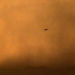 Alerta por aire africano en Móstoles: el Gobierno regional lanza un aviso por concentración de polvo en suspensión