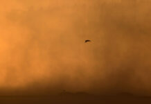 Alerta por aire africano en Móstoles: el Gobierno regional lanza un aviso por concentración de polvo en suspensión Alerta por aire africano en Móstoles: el Gobierno regional lanza un aviso por concentración de polvo en suspensión