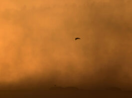 Alerta por aire africano en Móstoles: el Gobierno regional lanza un aviso por concentración de polvo en suspensión