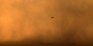 Alerta por aire africano en Móstoles: el Gobierno regional lanza un aviso por concentración de polvo en suspensión