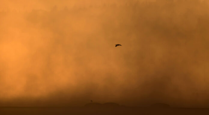 Alerta por aire africano en Móstoles: el Gobierno regional lanza un aviso por concentración de polvo en suspensión