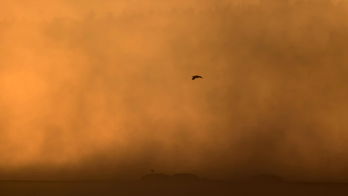 Alerta por aire africano en Móstoles: el Gobierno regional lanza un aviso por concentración de polvo en suspensión Alerta por aire africano en Móstoles: el Gobierno regional lanza un aviso por concentración de polvo en suspensión