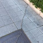 La oruga procesionaria llega a Móstoles: vecinos del municipio alertan de su presencia