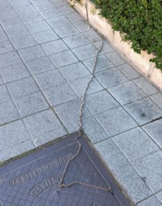 La oruga procesionaria llega a Móstoles: vecinos del municipio alertan de su presencia