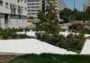 Obras de mejora en el PAU-4: Móstoles tiene un nuevo espacio verde tras la reforma integral de una rotonda Obras de mejora en el PAU-4: Móstoles tiene un nuevo espacio verde tras la reforma integral de una rotonda