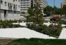 Obras de mejora en el PAU-4: Móstoles tiene un nuevo espacio verde tras la reforma integral de una rotonda