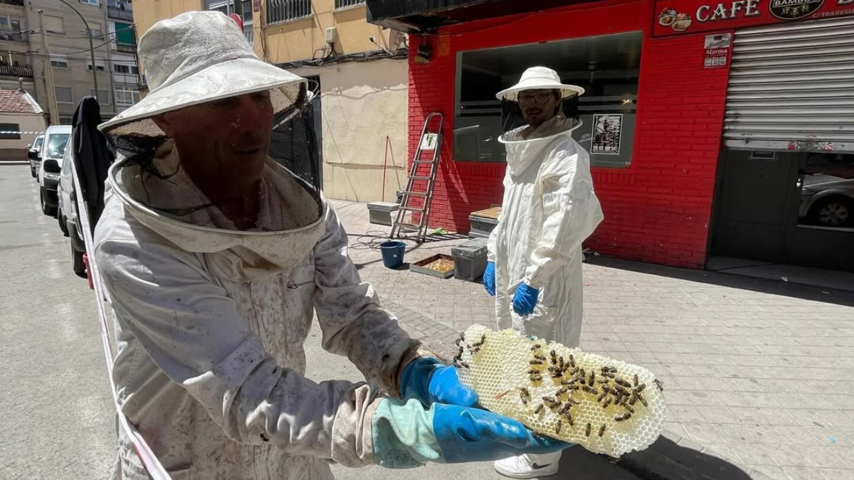 Detectan un enjambre de abejas en plena vía pública de Móstoles: ya ha sido retirado