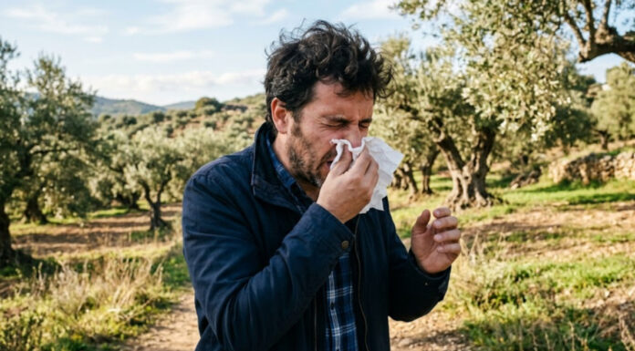 Alerta roja en Móstoles y en toda la Comunidad de Madrid por niveles altos de polen de olivo y gramíneas
