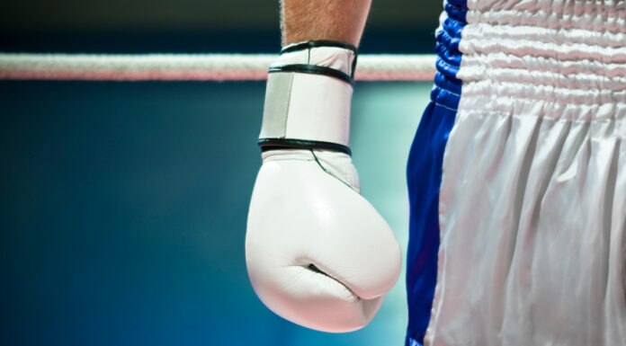 La Plaza de Toros de Móstoles acogerá una velada de combates: Kaos Fight Night llega a la ciudad