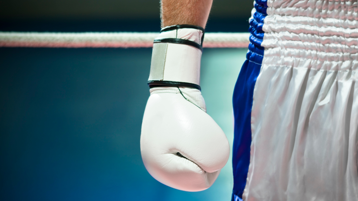 La Plaza de Toros de Móstoles acogerá una velada de combates: Kaos Fight Night llega a la ciudad