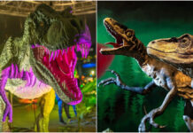 Más de 120 especies a escala real en Xanadú: la mayor exposición de dinosaurios aterriza cerca de Móstoles