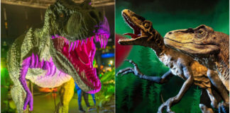 Más de 120 especies a escala real en Xanadú: la mayor exposición de dinosaurios aterriza cerca de Móstoles