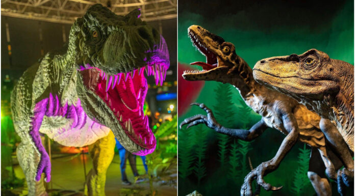 Más de 120 especies a escala real en Xanadú: la mayor exposición de dinosaurios aterriza cerca de Móstoles