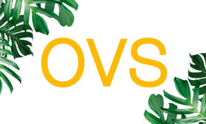 Un gigante internacional de la moda llega a un paso de Móstoles: OVS abre sus puertas en Intu Xanadú