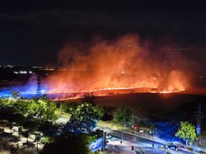 Incendio en Móstoles tras arder una zona de campo cerca de Los Combos
