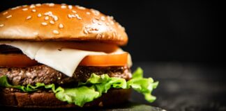Móstoles tendrá un festival de hamburguesas en el Parque Finca Liana: Mordida Fest llega al municipio
