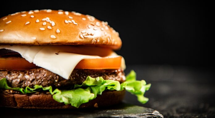 Móstoles tendrá un festival de hamburguesas en el Parque Finca Liana: Mordida Fest llega al municipio
