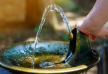 Más Madrid propone una red de fuentes de agua potable y sombras en Móstoles contra el calor Más Madrid propone una red de fuentes de agua potable y sombras en Móstoles contra el calor