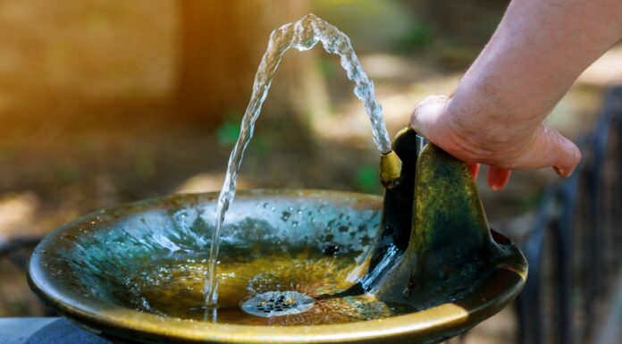 Más Madrid propone una red de fuentes de agua potable y sombras en Móstoles contra el calor