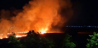 Incendio en Móstoles tras arder una zona de campo cerca de Los Combos