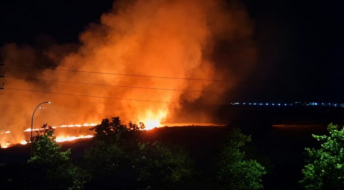 Incendio en Móstoles tras arder una zona de campo cerca de Los Combos Incendio en Móstoles tras arder una zona de campo cerca de Los Combos