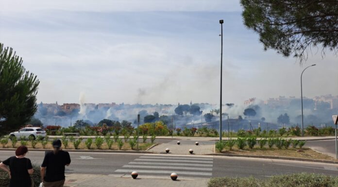 El PSOE de Móstoles exige revisar las actuaciones de prevención de incendios tras el fuego en Parque Coimbra