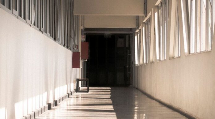 ¿Quién anda ahí? Móstoles. El instituto